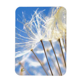 Dancing Dandelion Poof, Happy, Joyful, Nature Magnet