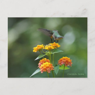 Dancing Jewel Postkarte
