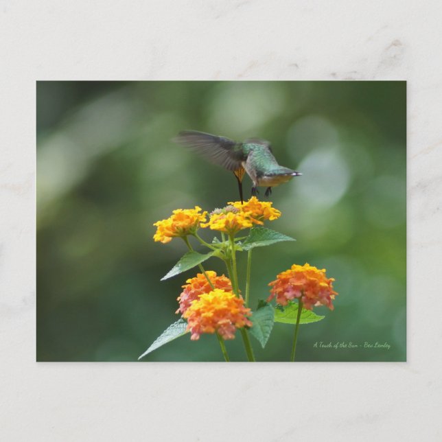 Dancing Jewel Postkarte (Vorderseite)