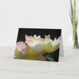 Dancing Lotus Card Karte