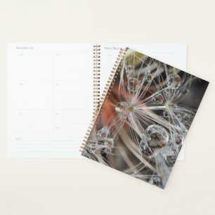 Dandelion Abstrakt Planer