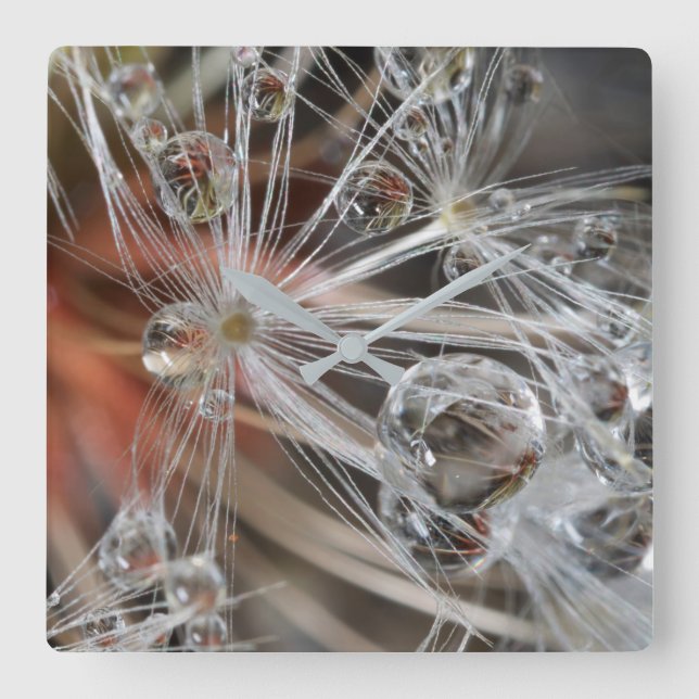Dandelion Abstrakt Quadratische Wanduhr (Vorderseite)