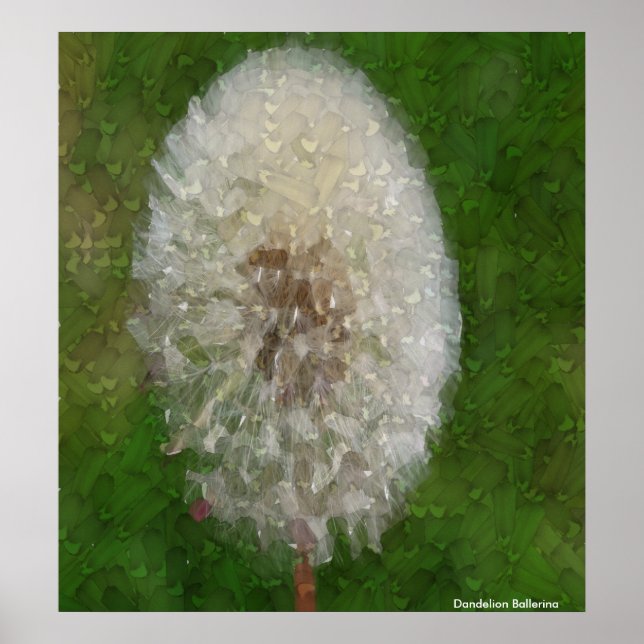 Dandelion Ballerina von Celeste Sheffey Poster (Vorne)