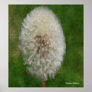 Dandelion Ballerina von Celeste Sheffey Poster