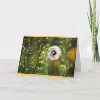 Dandelion Birthday Wises Karte