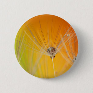 Dandelion blüht Blume Destiny Peace Liebe Art Button