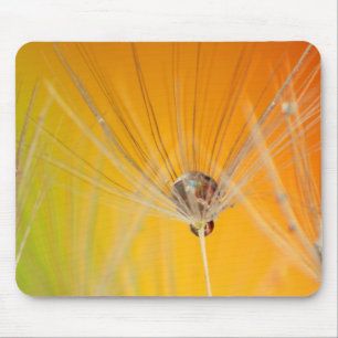 Dandelion blüht Blume Destiny Peace Liebe Art Mousepad