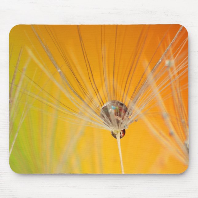 Dandelion blüht Blume Destiny Peace Liebe Art Mousepad (Vorne)