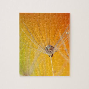 Dandelion blüht Blume Destiny Peace Liebe Art Puzzle