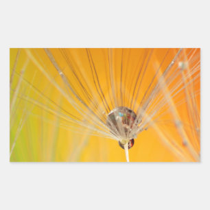 Dandelion blüht Blume Destiny Peace Liebe Art Rechteckiger Aufkleber