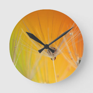 Dandelion blüht Blume Destiny Peace Liebe Art Runde Wanduhr