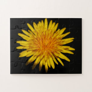 Dandelion Blume 11x14 30pc jpcna Puzzle