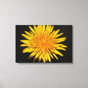 Dandelion Blume 24x16 (60x40cm) waccna Leinwanddruck