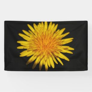 Dandelion-Blume Banner