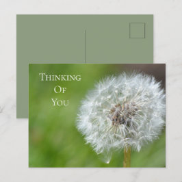 Dandelion Blume Denken Sie an Sie Postkarte