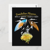 Dandelion Blume Fakten - Natur Lover