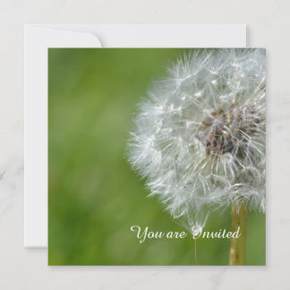 Dandelion Blume Geburtstag Einladung