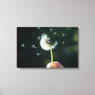 Dandelion-Blume Leinwanddruck