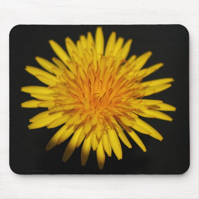 Dandelion Blume mpcna Mousepad (Vorne)