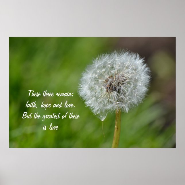 Dandelion-Blume Poster (Vorne)