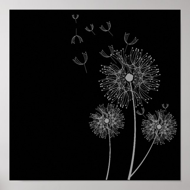 Dandelion Blume Schwarz-Weiß Poster (Vorne)
