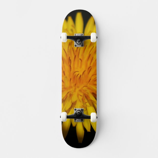 Dandelion Blume sdcnm Skateboard (Vorderseite)