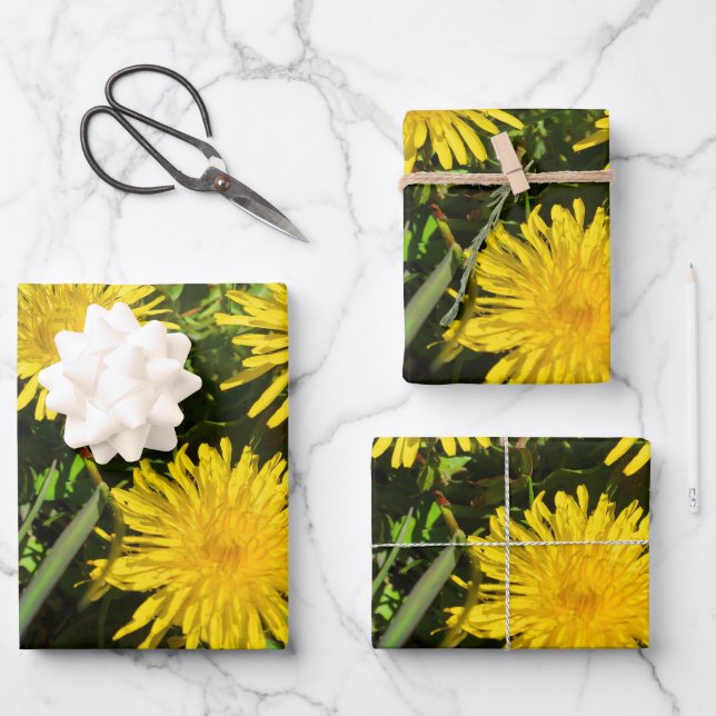 Dandelion Blume Trio Geschenkpapier Set (Vorderseite)