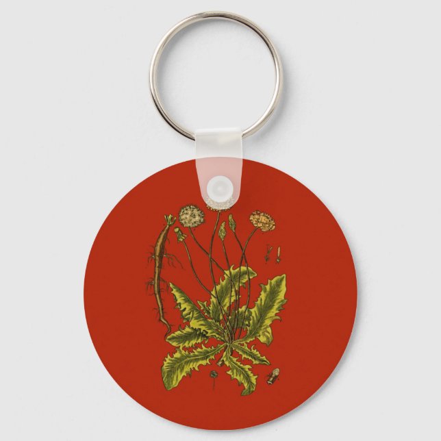 Dandelion Botanische Illustration Schlüsselanhänger (Vorderseite)