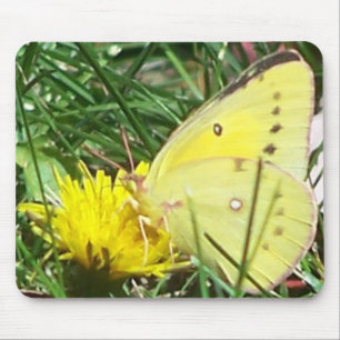 Dandelion Butterfly Mousepad