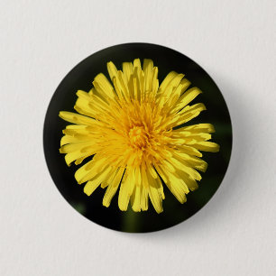 Dandelion Button