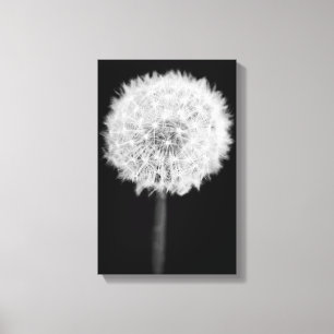 Dandelion Canvas Print Leinwanddruck