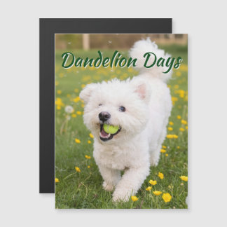 Dandelion Days Magnetkarte