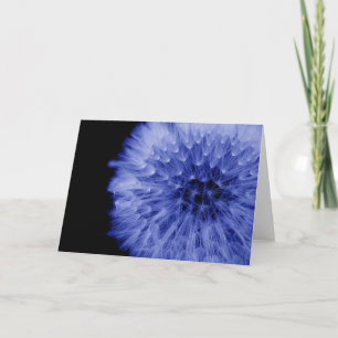 Dandelion Fine Art Karte