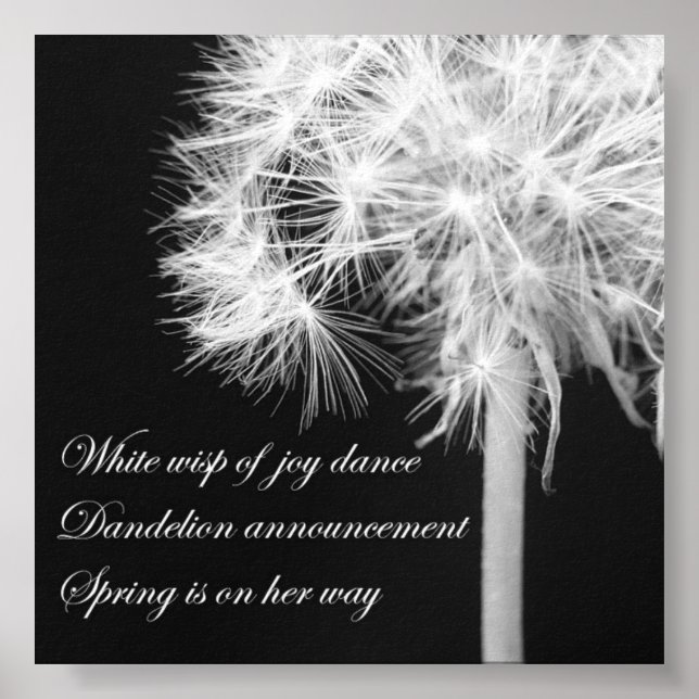 Dandelion Haiku Canvas Print Poster (Vorne)