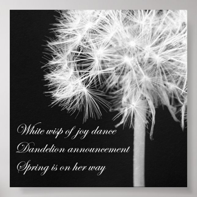 Dandelion Haiku Poster (Vorne)
