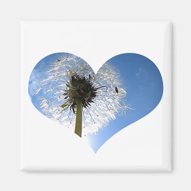 Dandelion Heart Magnet (Vorne)