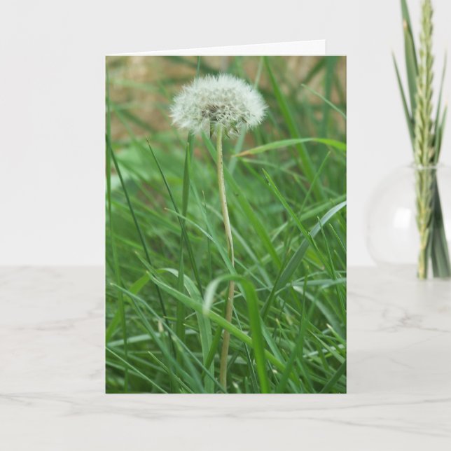 Dandelion Karte (Vorderseite)