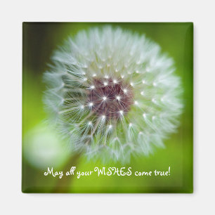 Dandelion Kühlschrank Magnet