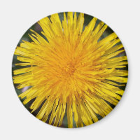 Dandelion Kühlschrankmagnet