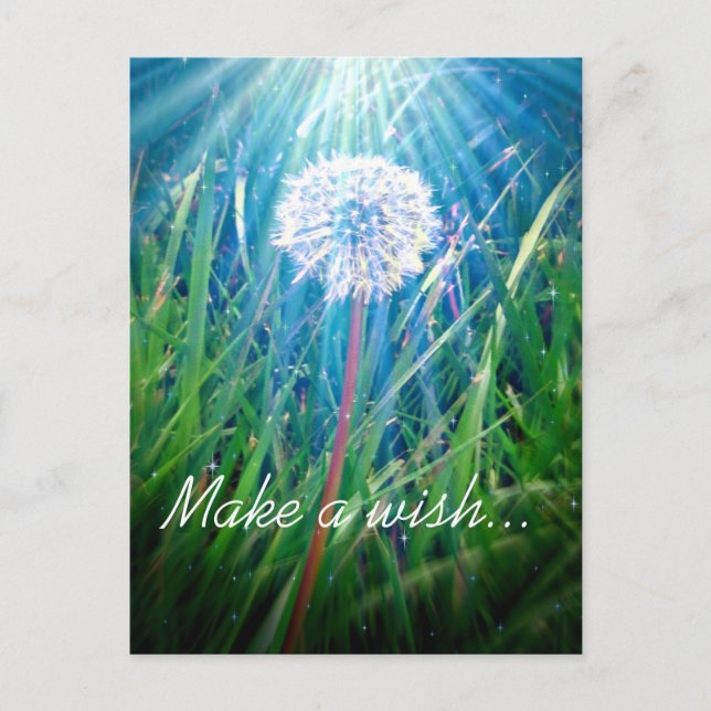 Dandelion Macro Postkarte (Vorderseite)
