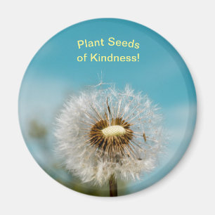 Dandelion Magnet Pflanze Samen von Güte
