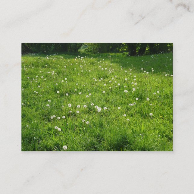 Dandelion Meadow 01 Visitenkarte (Vorderseite)