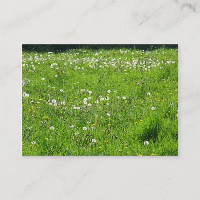 Dandelion Meadow 02 Visitenkarte (Vorderseite)