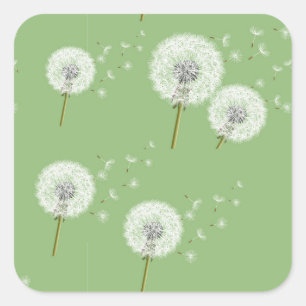 Dandelion Muster auf grünem Hintergrund Quadratischer Aufkleber