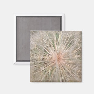 Dandelion Nah Up Magnet
