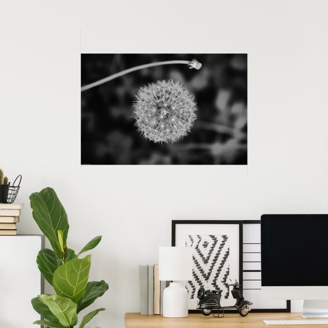 Dandelion - Noir, Poster (Heimbüro)