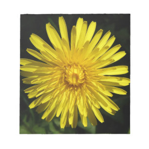 Dandelion Notepad Notizblock