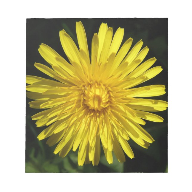 Dandelion Notepad Notizblock (Vorderseite)