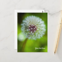 Dandelion Postcard