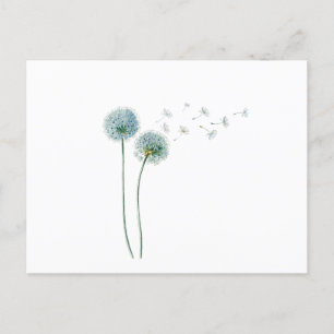 Dandelion Postcard Postkarte